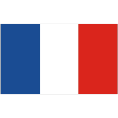Language